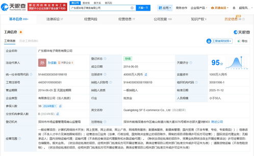廣東順豐電子商務公司完成大幅增資，注冊資本躍升至4億元，發(fā)力國內貿易代理業(yè)務